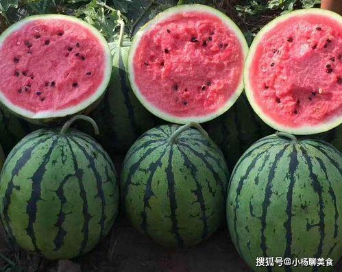 今日吃瓜大瓜不打烊,揭秘娱乐圈幕后风云