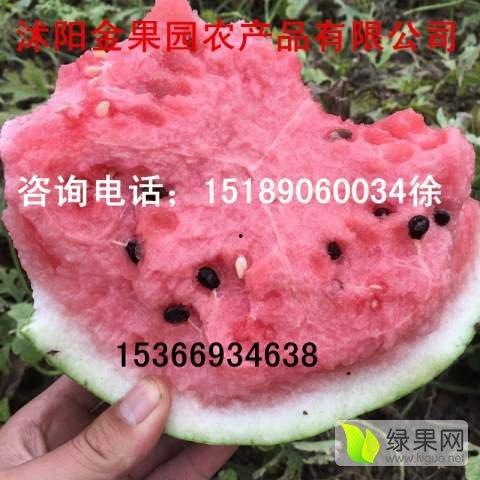 江苏今日瓜价,新鲜上市，价格波动一览
