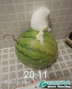 热门事件泡泡吃瓜,揭秘热门事件背后的真相与争议