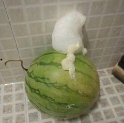 热门事件泡泡吃瓜,揭秘热门事件背后的真相与争议