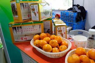 今日丽水热瓜,探寻炎炎夏日里的清凉故事