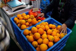 今日丽水热瓜,探寻炎炎夏日里的清凉故事