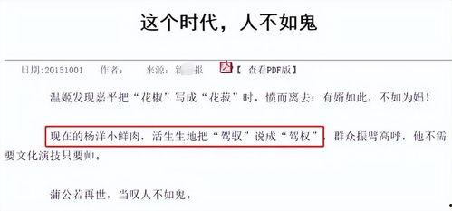 明星网红官方公文,背后故事与影响力深度解析