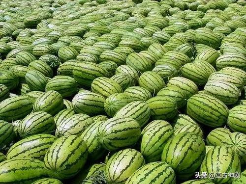 今日吃瓜上海老师热门大瓜,揭秘教育界惊人内幕