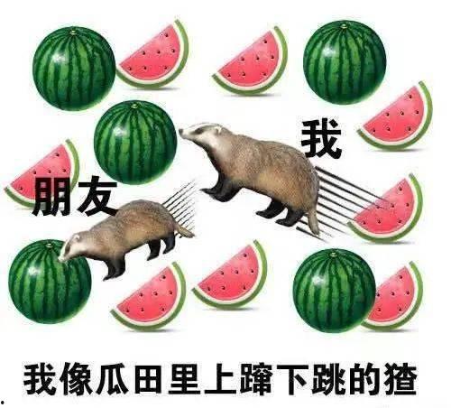 今日吃瓜每日吃瓜top,揭秘吃瓜群众关注的TOP话题