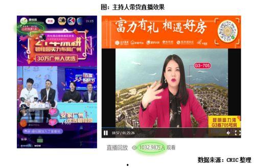 明星网红直播框架,打造爆款直播的秘诀解析
