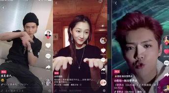 全网明星网红视频,潮流风向标与娱乐盛宴的完美融合