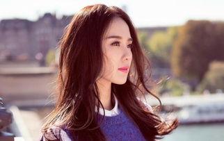 全网明星网红视频,潮流风向标与娱乐盛宴的完美融合