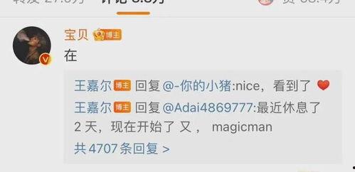 明星网红ip地址,流量密码大公开