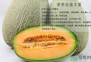 最热门的蜜瓜,探索最热门的甜蜜诱惑