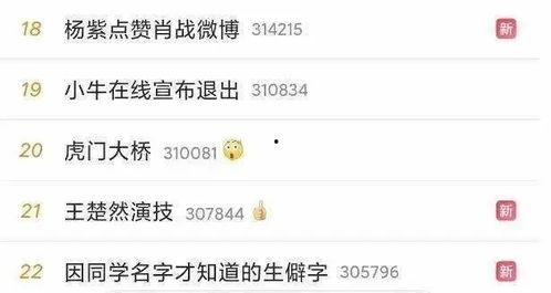 爆料吃瓜肖战微博,揭秘娱乐圈幕后真相