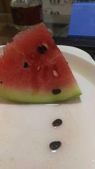 吃黑瓜子的瓜有什么好处和坏处