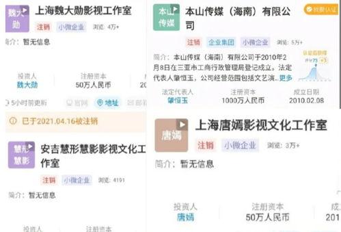 明星网红交税标准,揭秘明星网红交税标准