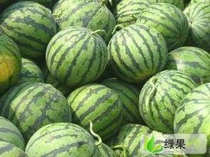 惠州瓜菜茄瓜今日价格,实惠之选，市民抢购热潮