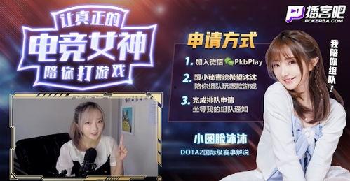 明星网红组队游戏,网红集结！明星网红组队游戏盛宴