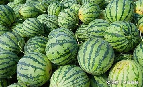 今日大瓜每日吃瓜图片,跟随吃瓜群众，揭秘娱乐圈最新热点瞬间
