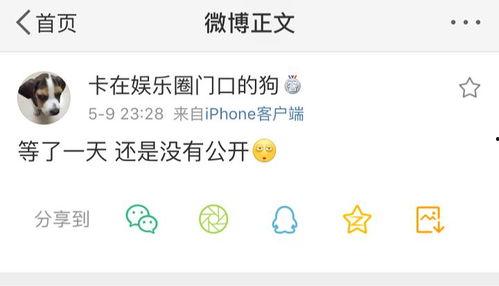 偶念的吃瓜爆料号,偶念吃瓜爆料号带你探秘明星幕后故事