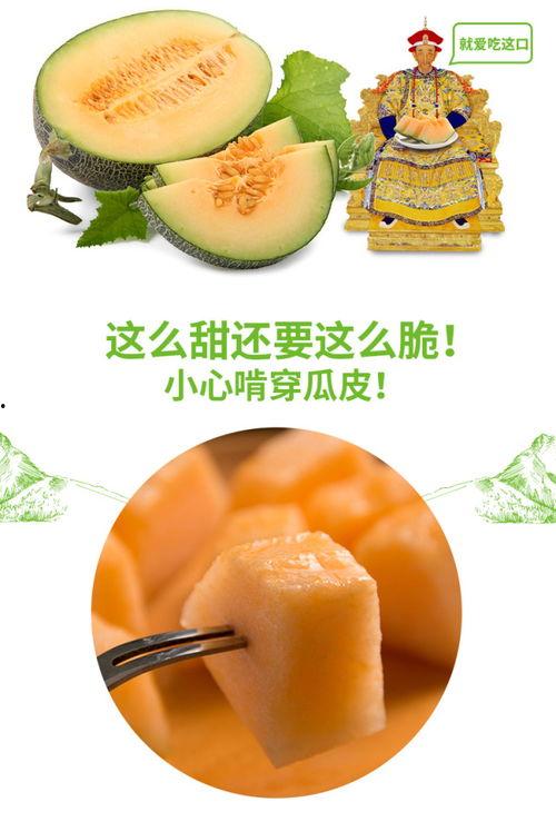 吃黑蜜瓜是热的还是凉的,夏日清凉还是温热滋养？