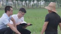 近期热门吃瓜新闻,明星恋情曝光，幕后真相揭秘