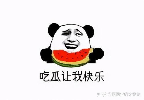 吃瓜点评热门文案,盘点热门文案背后的故事与真相