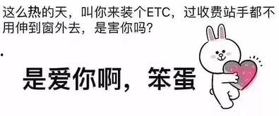 吃瓜点评热门文案,盘点热门文案背后的故事与真相