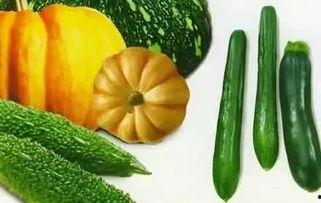 几种热门瓜的种子,从西瓜到哈密瓜，一网打尽甜蜜滋味