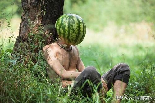 拉瓜今日价格,市场动态解析与投资策略”