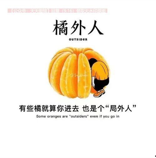 抖音热门圆圆瓜,圆圆瓜，萌趣横生的美食新宠