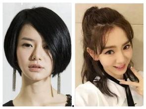 明星网红化看法,新时代的娱乐风向标