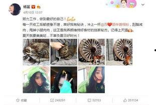 吃瓜一手料爆料,吃瓜群众一手料，带你走进娱乐圈幕后真相