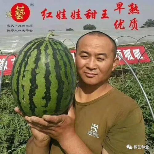 本地热门大瓜,揭秘背后惊人真相