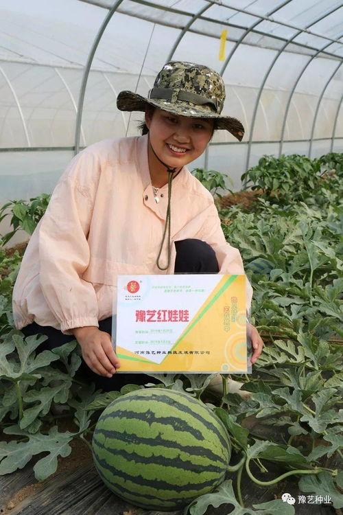 本地热门大瓜,揭秘背后惊人真相