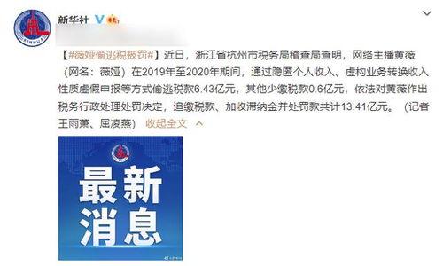 明星网红偷税处罚