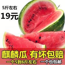 麒麟瓜热门话题,揭秘网络热议背后的美食传奇