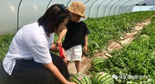 临夏热门吃瓜事件,揭秘热门吃瓜事件背后的真相
