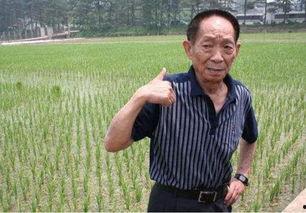 明星网红看袁隆平,从明星网红视角看农业巨匠的传奇人生
