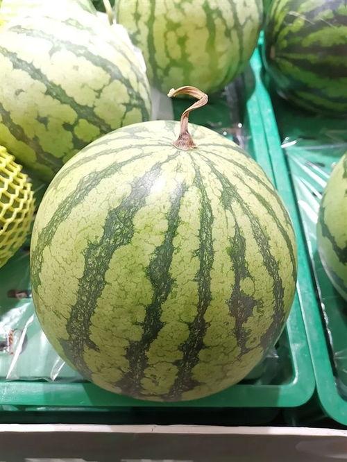 吃瓜今日吃瓜必吃大瓜,吃瓜界的重磅大瓜来袭！