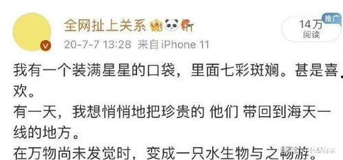 关于瓜的热门文案,揭秘热门瓜的幕后故事