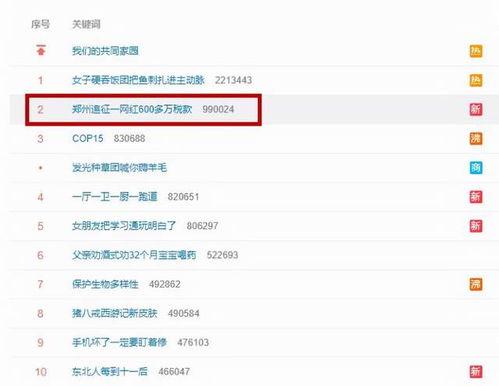 明星网红税收征管,政策解析与合规指南