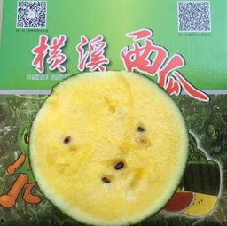 爆料吃瓜背景图片,吃瓜群众背后的真相大揭秘