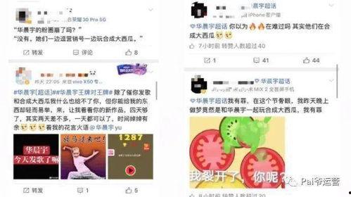 热门爆料今日大瓜,热门爆料揭秘娱乐圈惊天秘密