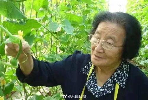 吃瓜群黑料不打烊徐梦滢