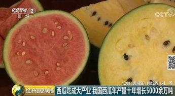 51吃瓜群众今日大瓜,揭秘娱乐圈最新热点事件
