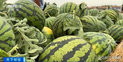 广艺的热门瓜,揭秘校园风云背后的故事