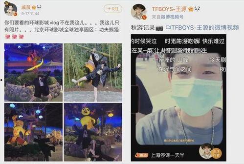 明星网红打卡视频,明星同款热门景点大盘点