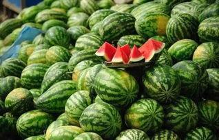 黑科吃瓜爆料最新进展,真相大白，幕后黑手浮出水面！”