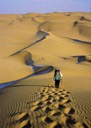 热门事件大漠瓜客,揭秘瓜田里的传奇故事