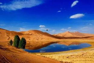 热门事件大漠瓜客,揭秘瓜田里的传奇故事