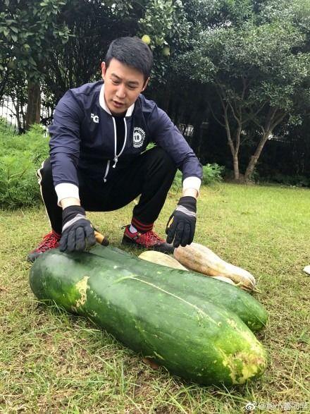 之前的吃瓜爆料有哪些,吃瓜爆料背后的真相与内幕