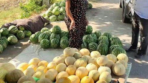 莱芜热门吃瓜事件,一场热门吃瓜事件的背后真相